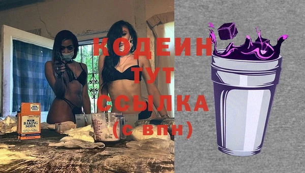гидра Богданович