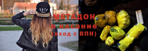 гидра Богданович