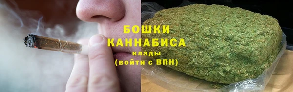 гидра Богданович