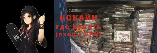 mdpv Бородино