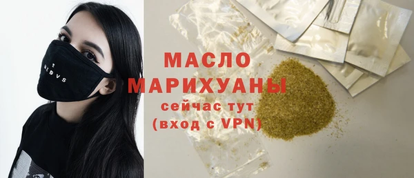 гидра Богородск
