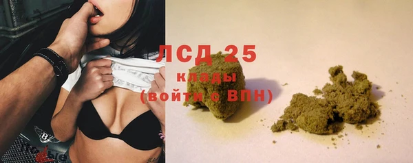гидра Богородск
