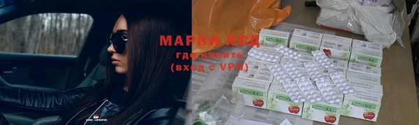 apvp Богородицк