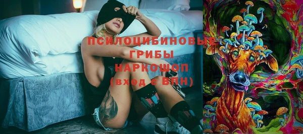гидра Богданович