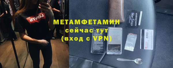 гидра Богданович