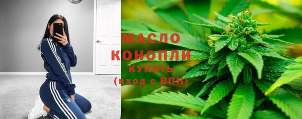 apvp Богородицк