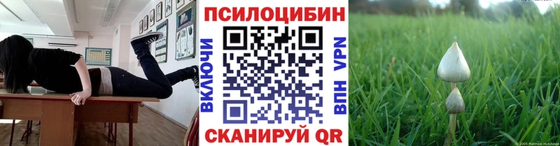 купить наркотики сайты  дарк нет как зайти  Псилоцибиновые грибы GOLDEN TEACHER  Кировск 