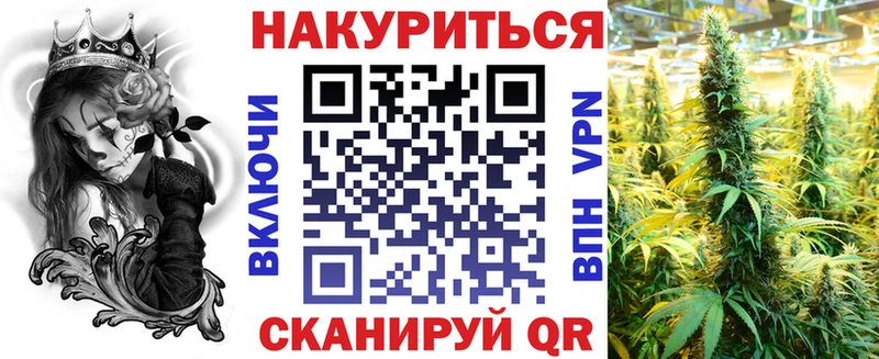 Шишки марихуана сатива  OMG сайт  Кировск  купить наркотик 